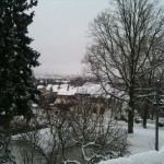 View from the livingroom