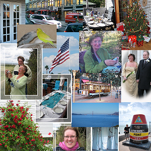 collage2008lite.jpg