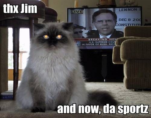 jimcat.jpg