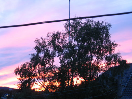 solnedgang300608.jpg