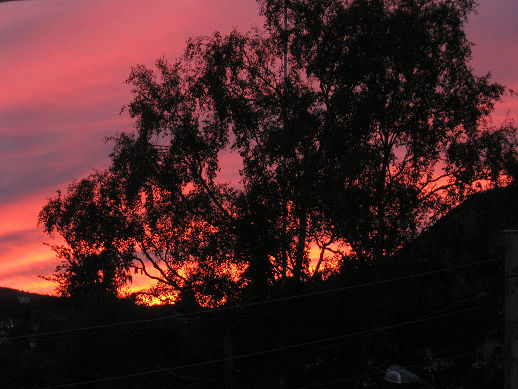 solnedgang300608v2.jpg