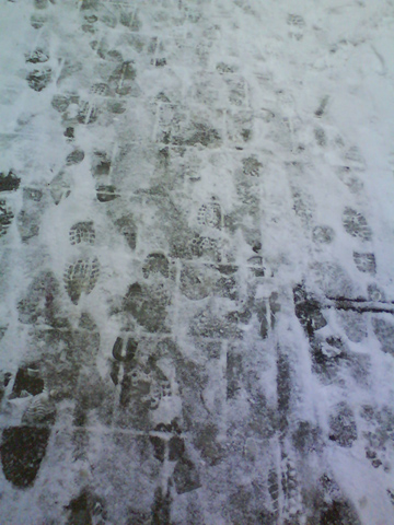 Snowy steps