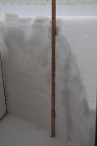 Snow snow snow!