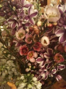 Lilacs