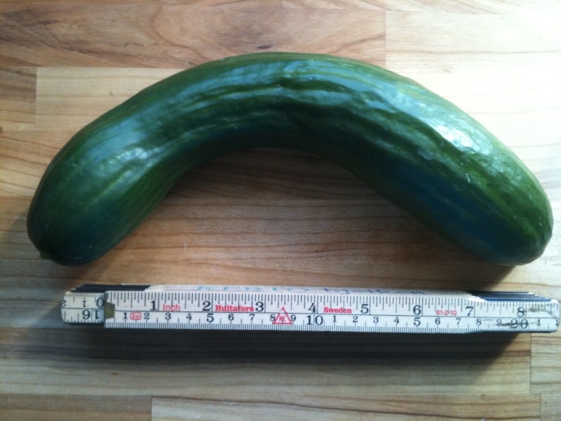 Agurk - cucumber