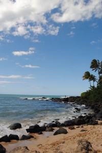 North shore - we saw the turtle, Brutus.