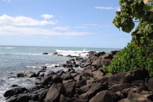 North shore - we saw the turtle, Brutus.